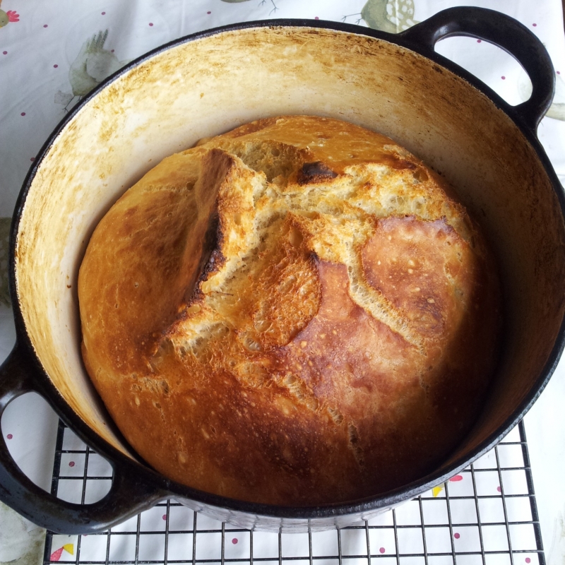 Nanna’s NoKnead Saucepan Bread Entering Vegan Territory