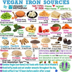 Vegan Iron sources